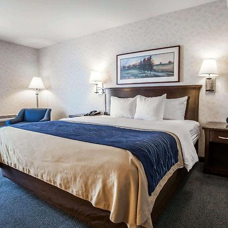 Comfort Inn Bellingham Dış mekan fotoğraf
