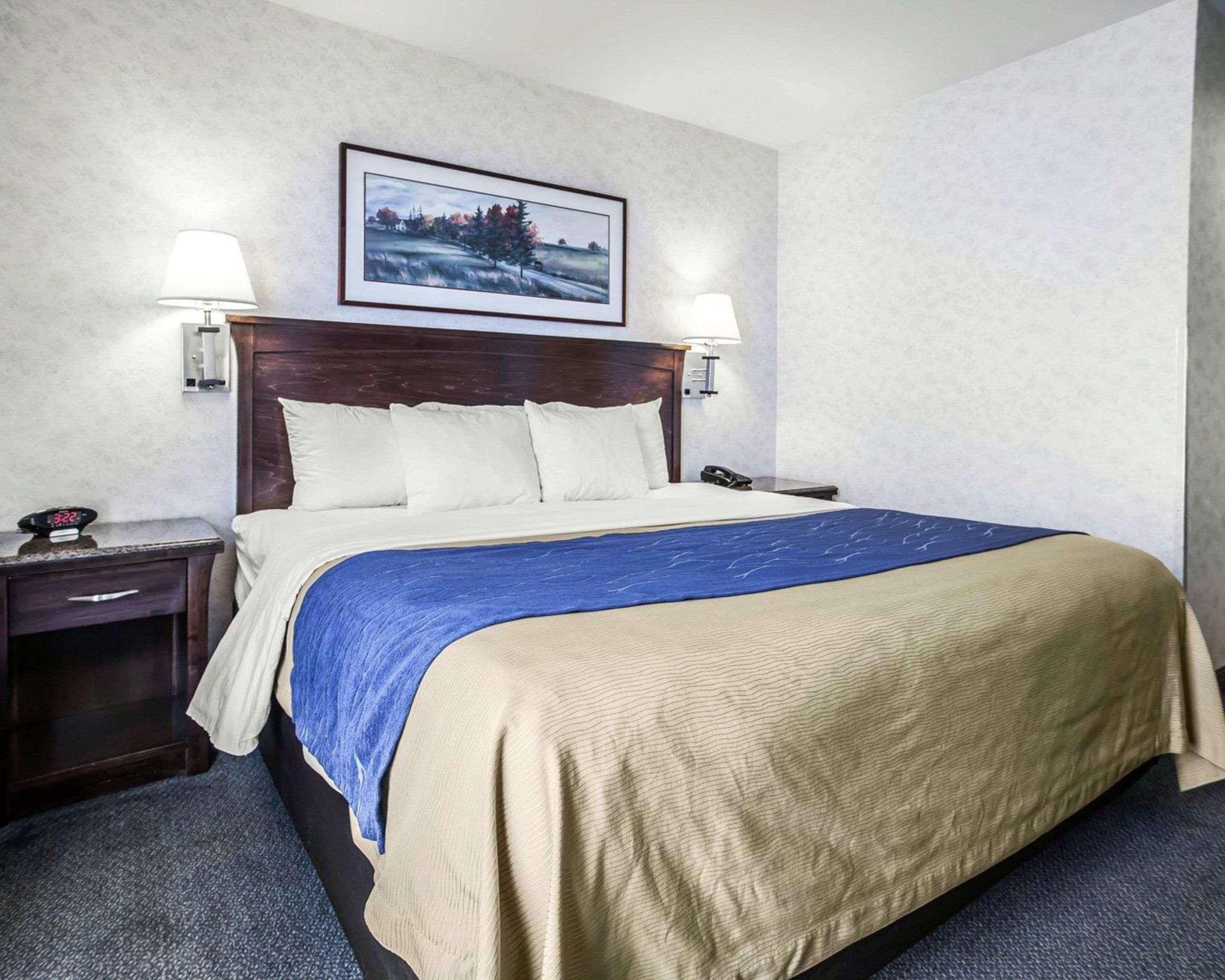 Comfort Inn Bellingham Dış mekan fotoğraf
