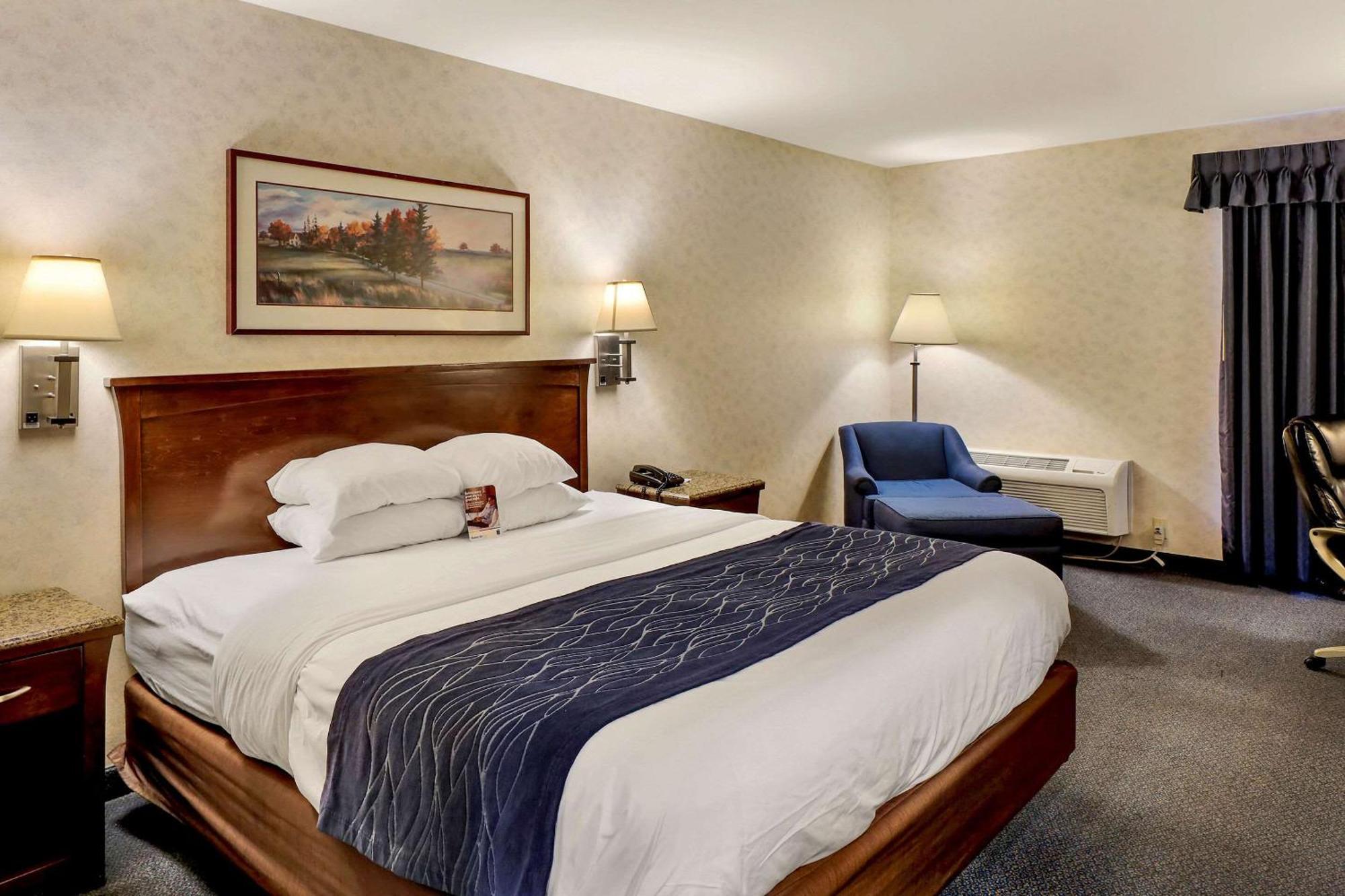 Comfort Inn Bellingham Dış mekan fotoğraf
