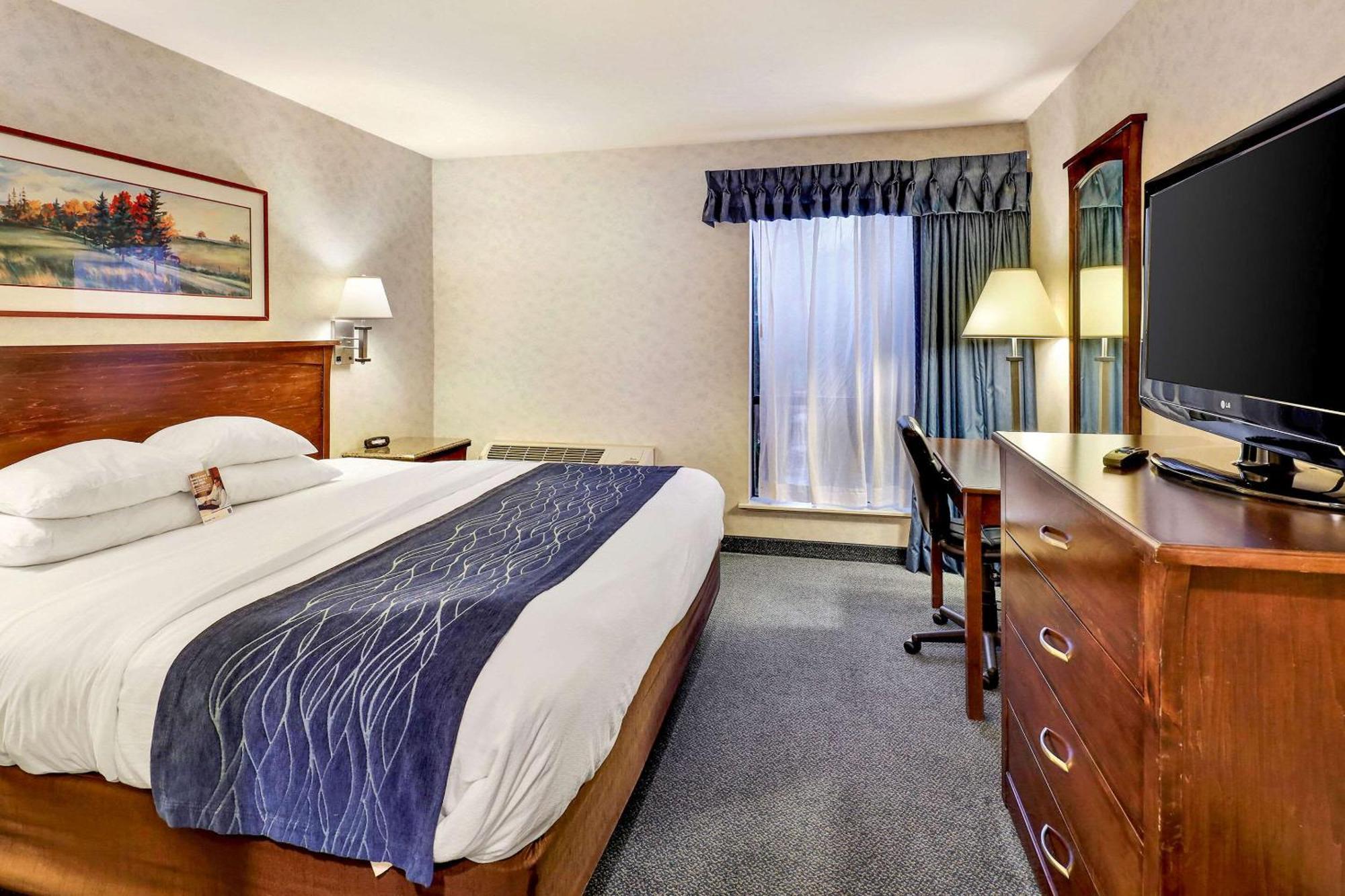 Comfort Inn Bellingham Dış mekan fotoğraf