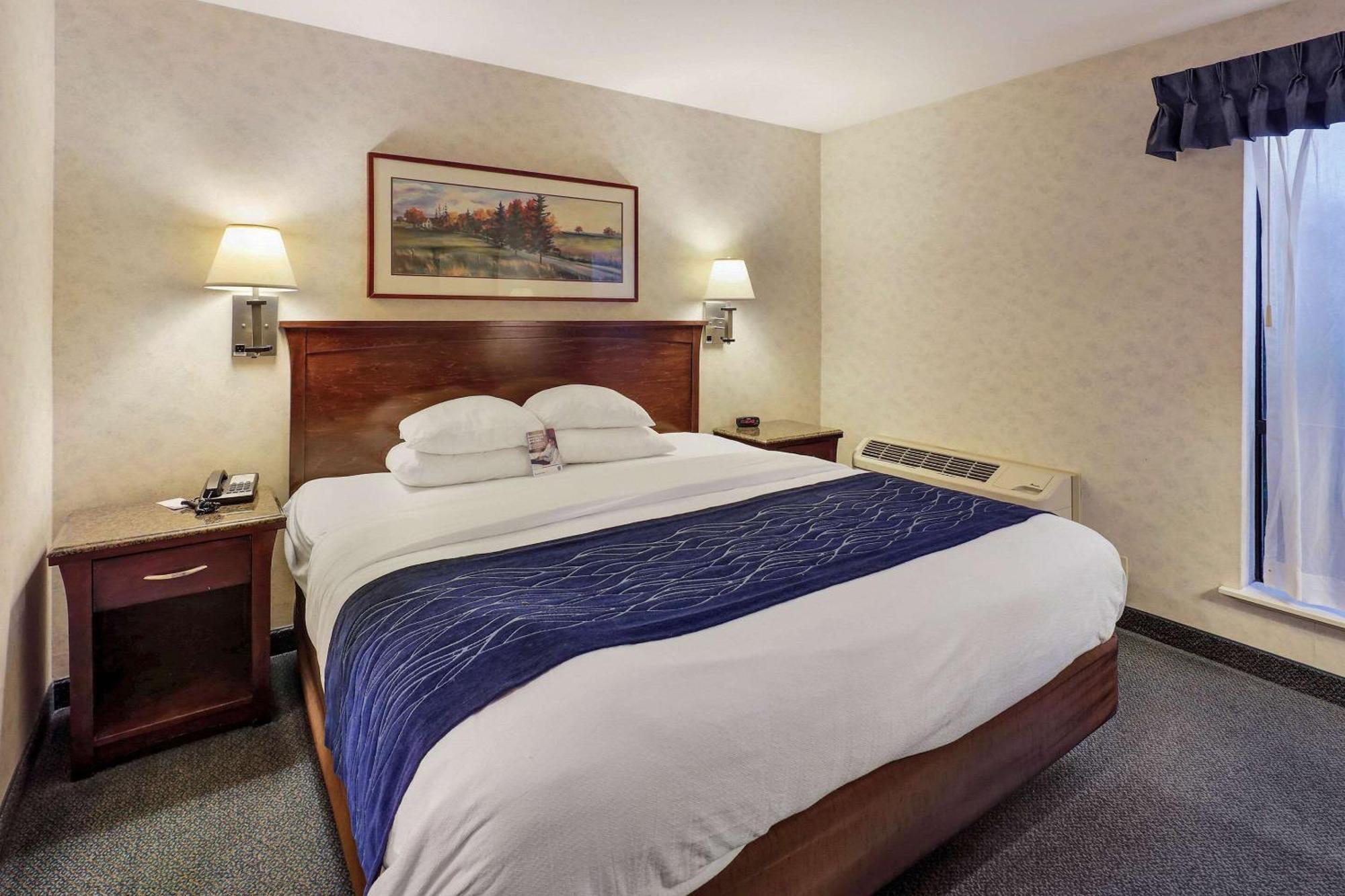 Comfort Inn Bellingham Dış mekan fotoğraf