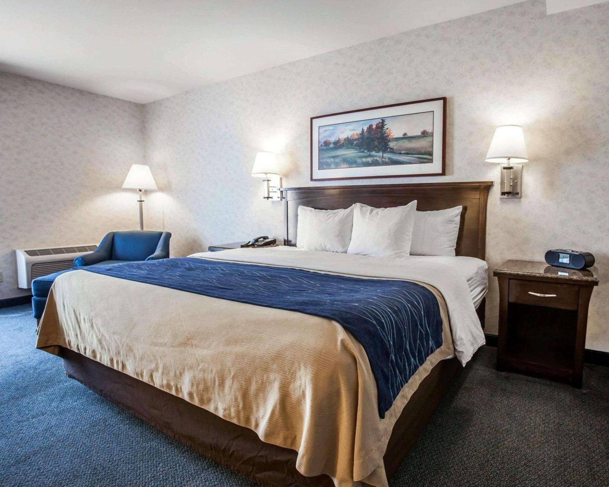 Comfort Inn Bellingham Dış mekan fotoğraf