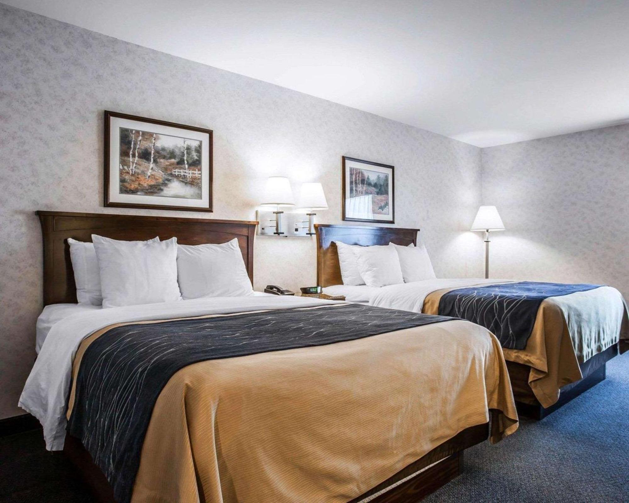 Comfort Inn Bellingham Dış mekan fotoğraf