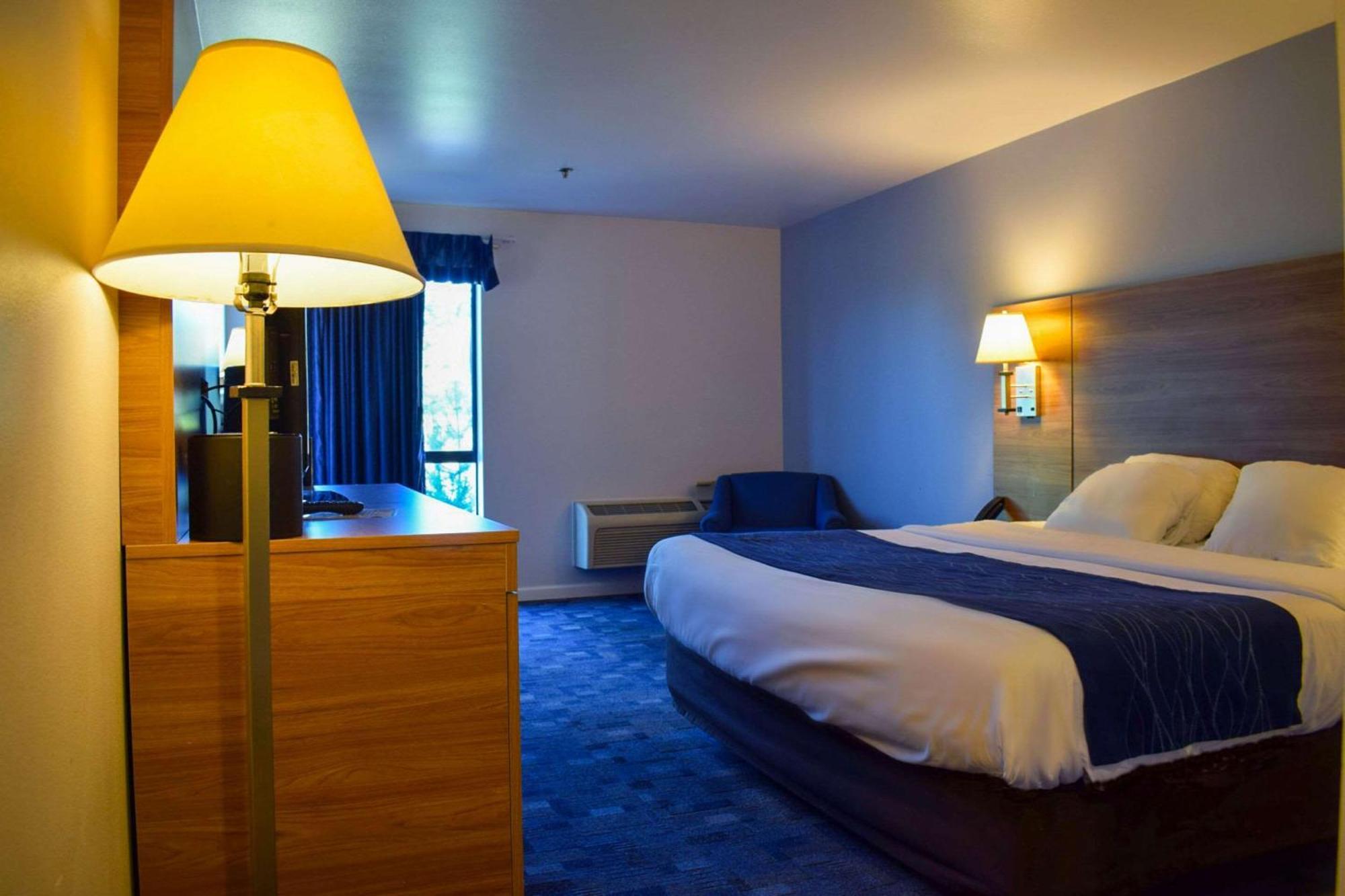 Comfort Inn Bellingham Dış mekan fotoğraf