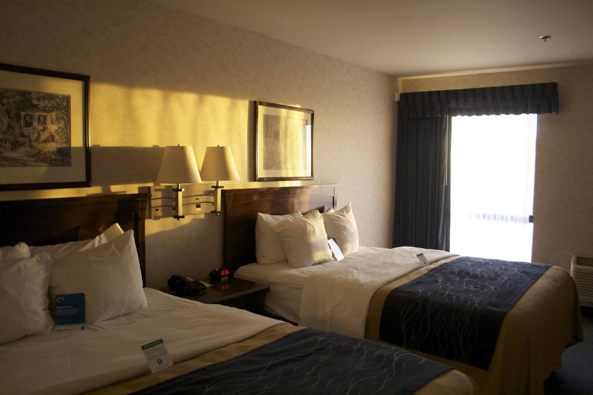 Comfort Inn Bellingham Dış mekan fotoğraf